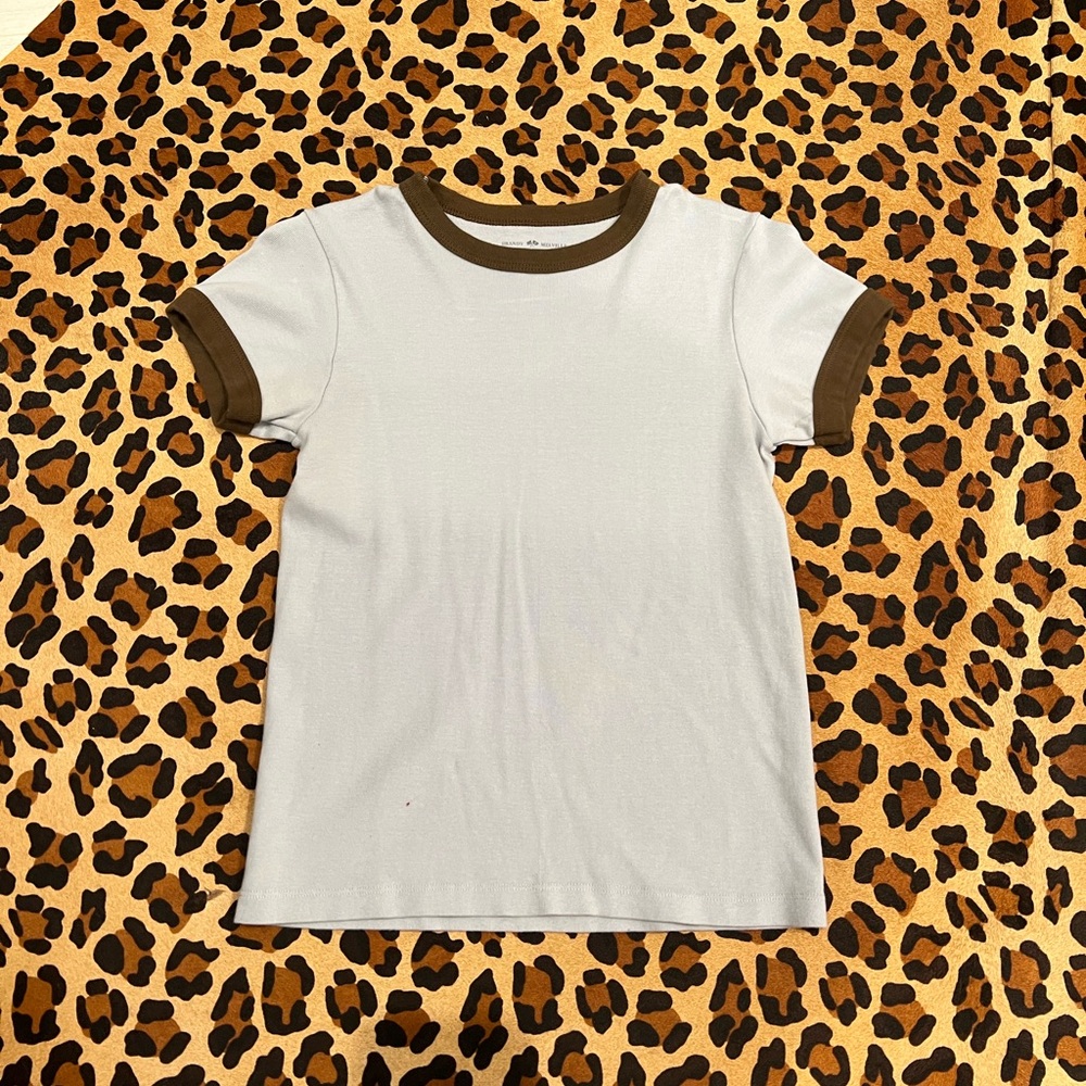 Brandy Melville baby blue and Brown T-Shirt